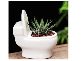 Mini Keraamiline Pott Planter selles, Wc Kuju Cactus Mahlakas Taim, Taim Office Desk Aknalauale Teenetemärgi Pliiatsi Omanik Kingitus
