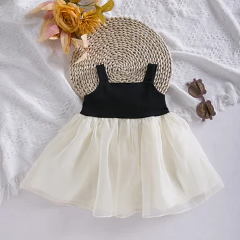 2023 Baby Girl Kleit Armas Vastsündinud Printsessi Kleidid Baby 1-3 Aasta Sünnipäeva Kleit teise lapse Imiku Pool Kleit Kleit