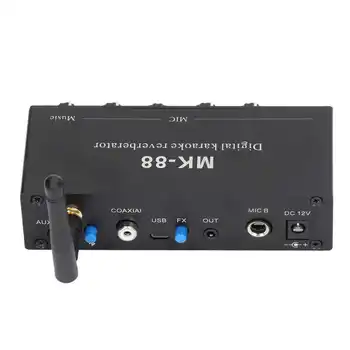 Digitaalne Reverberator Stereo Võimendi 5.0 Dual Mikrofoni Sisend, DC 12V